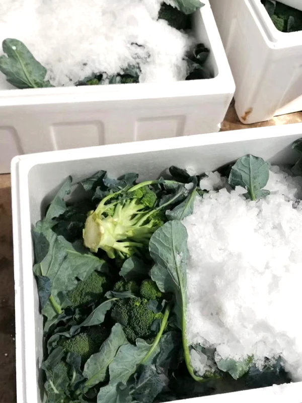Flower and mushroom cooling