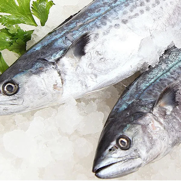 Block ice for fish preservation