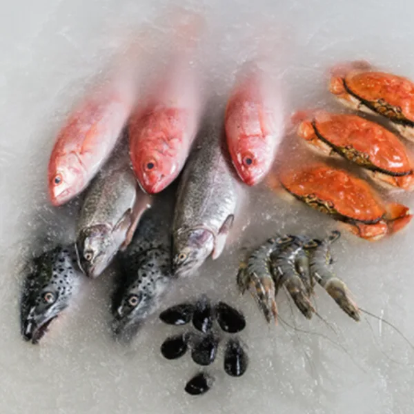Slurry ice for seafood