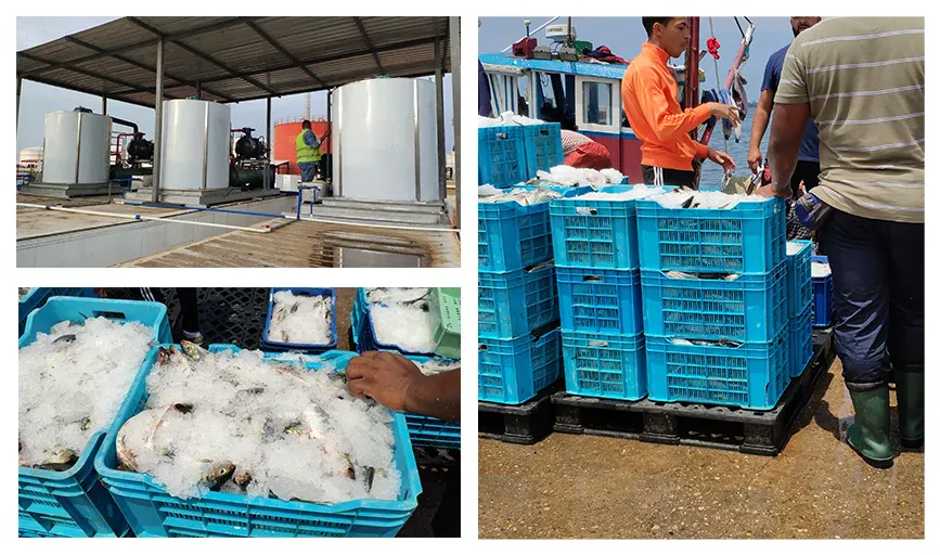 Ice Making Machine for Fishery Preservation