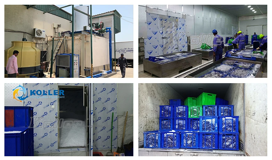 Ice Making Machine for Fishery Preservation