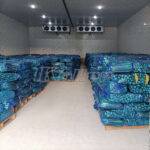 cold room for vegetable