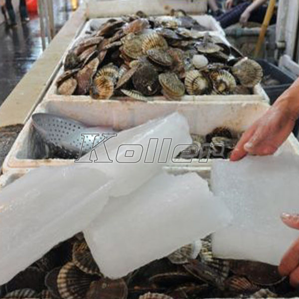 ice block with sea food