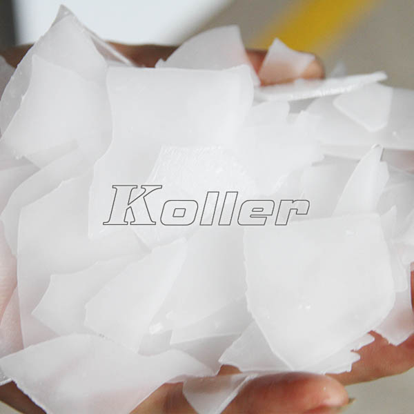 The Advantages of Flake Ice Machine in the Seafood Industry, Koller News