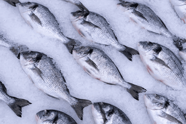 dorado-fish-on-ice-at-supermarket-for-sale
