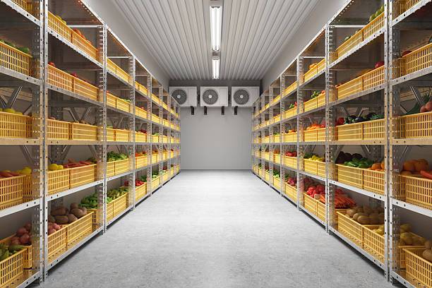 Fresh fruits and vegetables neatly stored on shelves inside a cold storage room