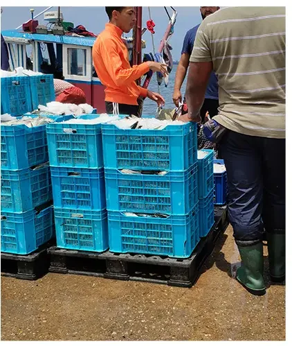 Fishing boat unloading crates of fish preserved in flake ice