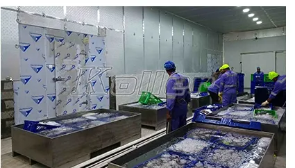 Workers processing seafood with ice in a cold room